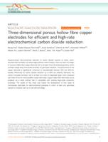 Three-dimensional porous hollow fibre copper electrodes for efficient and high-rate electrochemical carbon dioxide reduction