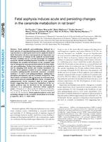 Fetal asphyxia induces acute and persisting changes in the ceramide metabolism in rat brain