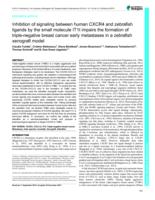 Inhibition of signaling between human CXCR4 and zebrafish ligands by the small molecule IT1t impairs the formation of triple-negative breast cancer early metastases in a zebrafish xenograft model