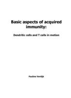 Basic aspects of acquired immunity: Dendritic cells and T cells in motion