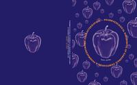 Pharmacological differences of GABAergic compounds: a pharmacodynamic characterization