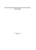 Clinical and virological aspects of human parvovirus B19 Infection during Gestation.