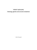 Diabetic nephropathy : pathology, genetics and carnosine metabolism