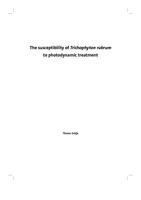 The susceptibility of trichophyton rubrum to photodynamic treatment