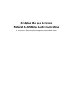 Bridging the gap between natural & artificial light-harvesting : a structure-function investigation with MAS NMR