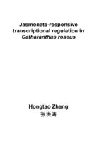 Jasmonate-responsive transcriptional regulation in Catharanthus roseus