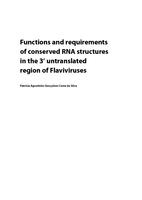 Functions and requirements of conserved RNA structures in the 3’ untranslated region of Flaviviruses