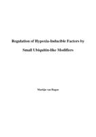 Regulation of hypoxia-inducible factors by small ubiquitin-like modifiers