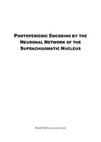 Photoperiodic encoding by the neuronal network of the suprachiasmatic nucleus
