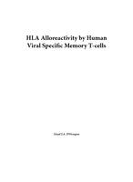 HLA alloreactivity by human viral specific memory T-cells