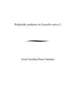 Polyketide synthases in Cannabis sativa L