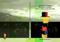 Agrobacterium infection : translocation of virulence proteins and role of VirF in host cells