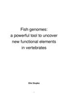 Fish genomes : a powerful tool to uncover new functional elements in vertebrates