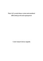 Plant Agc protein kinases orient auxin-mediated differential growth and organogenesis