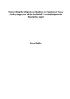 Unraveling the stepwise activation mechanism of HacA, the key regulator of the unfolded protein response in Aspergillus niger