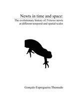 Newts in time and space: the evolutionary history of Triturus newts at different temporal and spatial scales