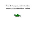 Metabolic changes in Arabidopsis thaliana plants overexperssing chalcone synthase