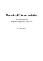 Hox, microRNAs and evolution :  new insights into the patterning of the body axis