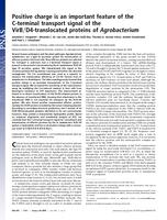 Positive charge is an important feature of the C-terminal transport signal of the VirB/D4-translocated proteins of Agrobacterium