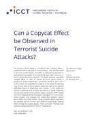 Can a Copycat Effect be Observed in Terrorist Suicide Attacks?