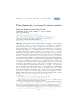 Phase diagram for a copolymer in a micro-emulsion