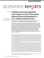 Inhibition of lysophosphatidic acid receptors 1 and 3 attenuates atherosclerosis development in LDL-receptor deficient mice