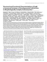 Structural and Functional Characterizations of SsgB, a Conserved Activator of Developmental Cell Division in Morphologically Complex Actinomycetes