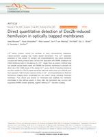 Direct quantitative detection of Doc2b-induced hemifusion in optically trapped membranes