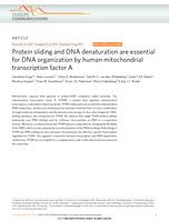 Protein sliding and DNA denaturation are essential for DNA organization by human mitochondrial transcription factor A