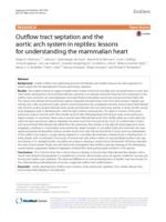 Outflow tract septation and the aortic arch system in reptiles: lessons for understanding the mammalian heart