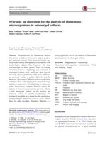 SParticle, an algorithm for the analysis of filamentous microorganisms in submerged cultures