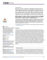 Bacterial size matters: Multiple mechanisms controlling septum cleavage and diplococcus formation are critical for the virulence of the opportunistic pathogen Enterococcus faecalis