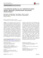 Actinoalloteichus fjordicus sp. nov. isolated from marine sponges: phenotypic, chemotaxonomic and genomic characterisation