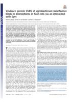 Virulence protein VirD5 of Agrobacterium tumefaciens binds to kinetochores in host cells via an interaction with Spt4