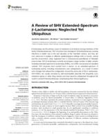 A Review of SHV Extended-Spectrum β-Lactamases: Neglected Yet Ubiquitous