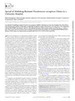 Spread of multidrug-resistant Pseudomonas aeruginosa clones in a university hospital