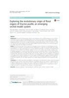 Exploring the evolutionary origin of floral organs of Erycina pusilla, an emerging orchid model system.