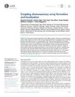 Coupling chemosensory array formation and localization