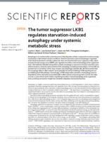 The tumor suppressor LKB1 regulates starvation-induced autophagy under systemic metabolic stress