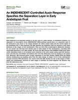 An INDEHISCENT-controlled auxin response specifies the separation layer in early Arabidopsis fruit