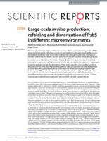 Large-scale in vitro production, refolding and dimerization of PsbS in different microenvironments