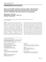 Ignicoccus hospitalis and Nanoarchaeum equitans: ultrastructure, cell-cell interaction, and 3D reconstruction from serial sections of freeze-substituted cells and by electron cryotomography