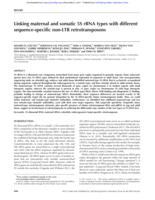 Linking maternal and somatic 5S rRNA types with different sequence-specific Non-LTR retrotransposons