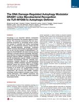 The DNA Damage-Regulated Autophagy Modulator DRAM1 Links Mycobacterial Recognition via TLR-MYD88 to Autophagic Defense