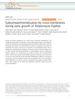 Subcompartmentalization by cross-membranes during early growth of Streptomyces hyphae