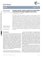 Complex patchy colloids shaped from deformable seed particles through capillary interactions