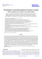 The abundance of ultra-diffuse galaxies from groups to clusters. UDGs are relatively more common in more massive haloes