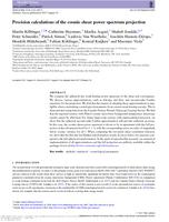 Precision calculations of the cosmic shear power spectrum projection