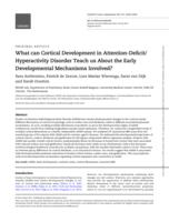 What can cortical development in Attention-Deficit/Hyperactivity Disorder teach us about the early developmental mechanisms involved?