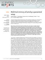 Multi-trait mimicry of ants by parasitoid wasp